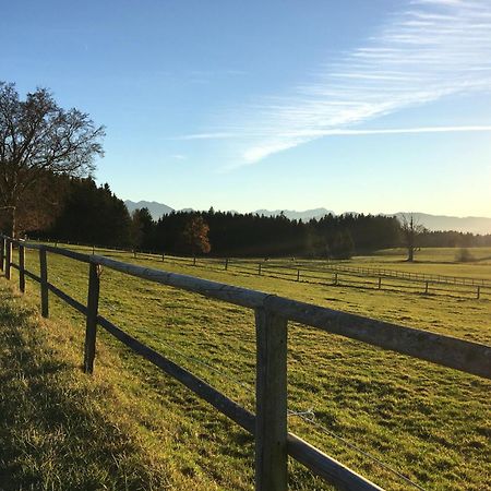 Ferienhaus Antdorfer Gartenglueck Esterno foto
