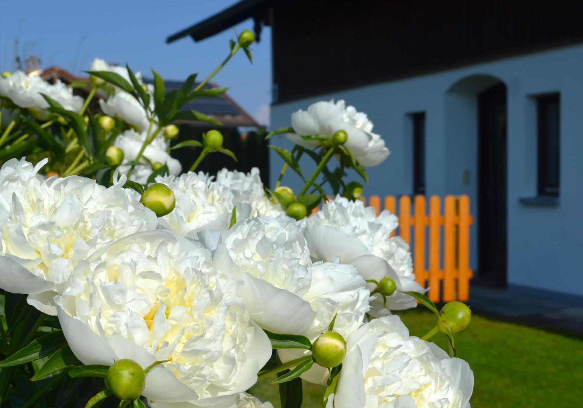 Ferienhaus Antdorfer Gartenglueck Esterno foto
